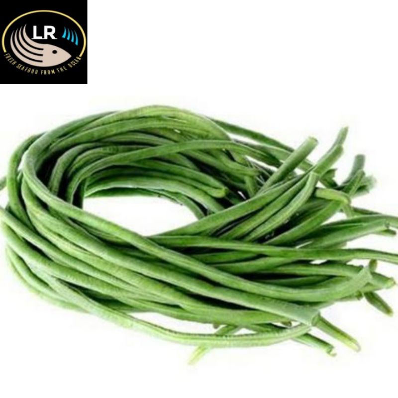 

kacang panjang segar