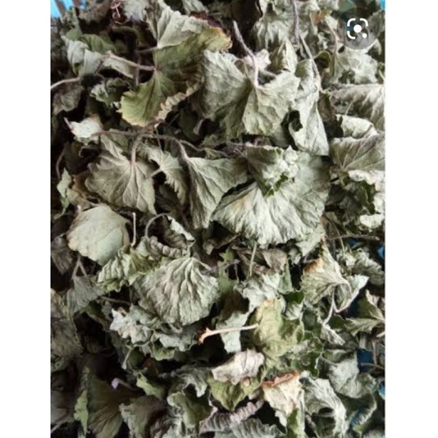 

daun pegagan kering murni daun tanpa akar 50 gram
