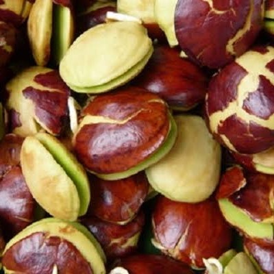 

Jengkol Fresh 500 Gr Pasar Bandung Berkah