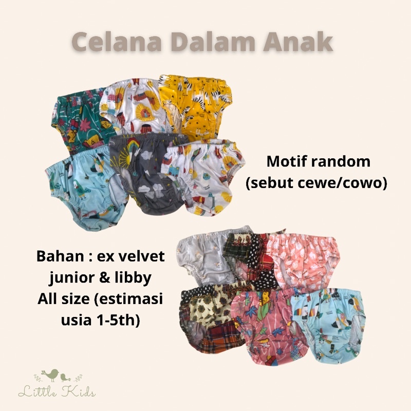 CD Anak|Celana Dalam Anak Unisex