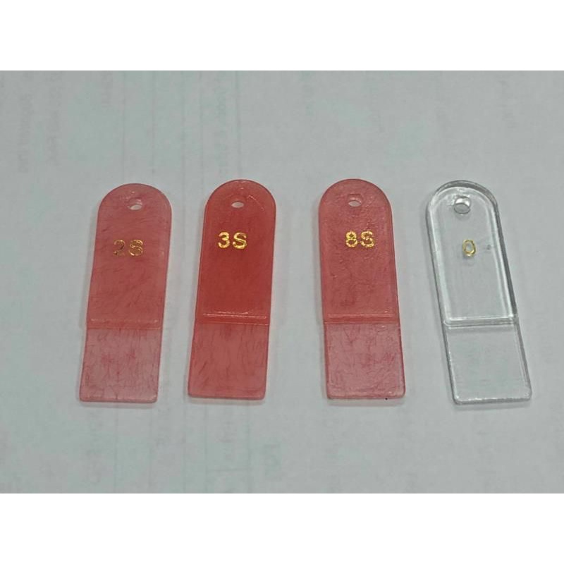 powder acrylic gigi palsu Self Cure Mr Cure