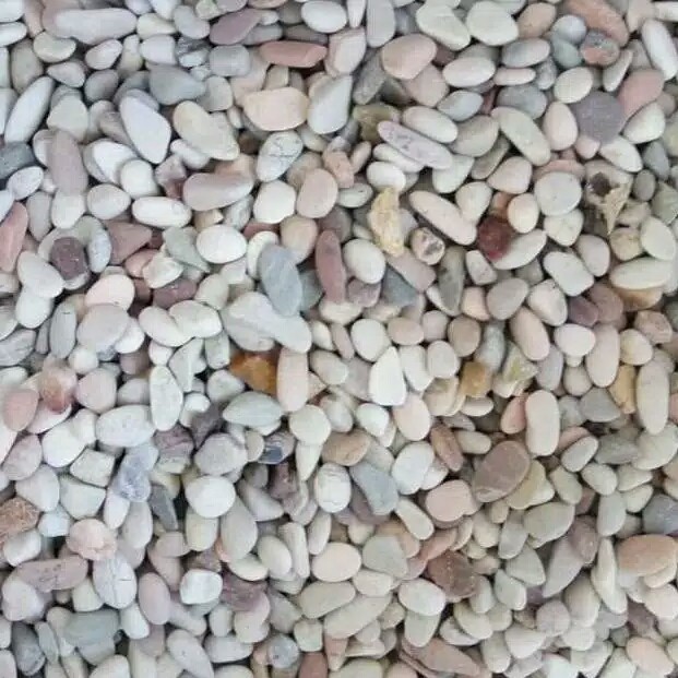 Batu tanaman hias pancawarna