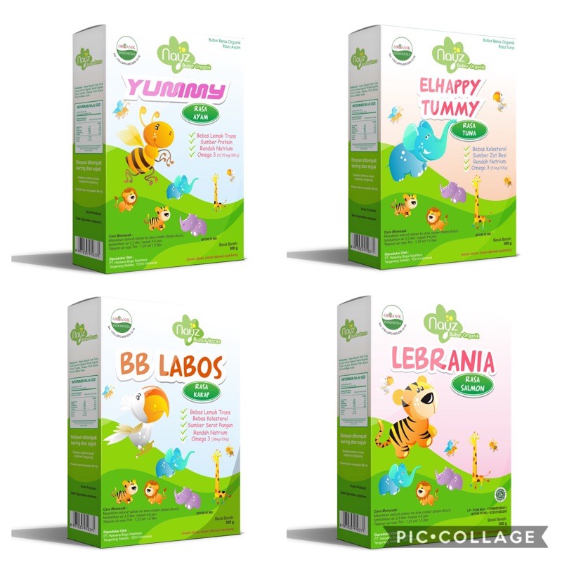 Nayz Bubur Bayi Organik Tematik 300 gram