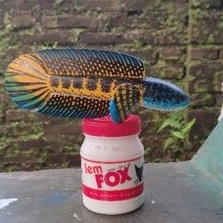 Patung Chana Auranti 16/17cm