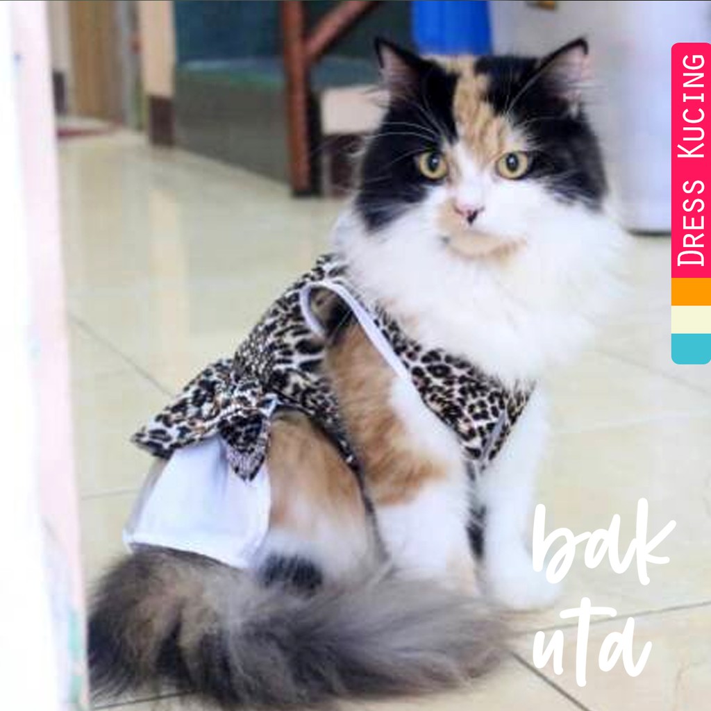 Dress macan untuk kucing &amp; anjing /Jual Baju Kucing Terlengkap &amp; Berkualitas size S-XL