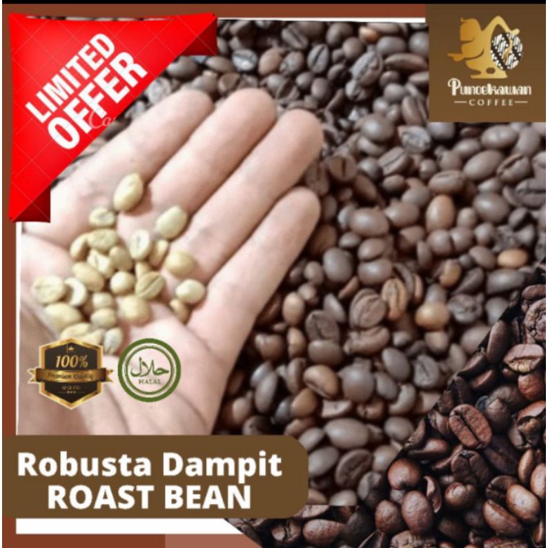 

Roastbean Robusta Dampit | 500 kg
