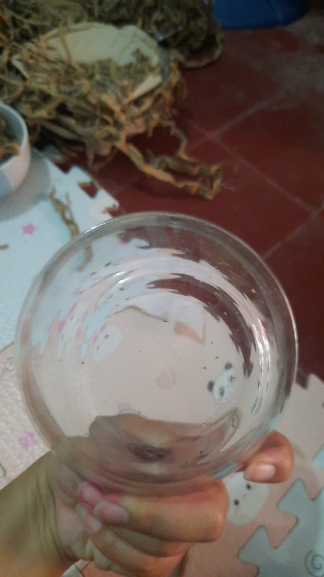 1 Pc Mangkok Saji Kaca Bening Polos Ukuran 5,5 Inch