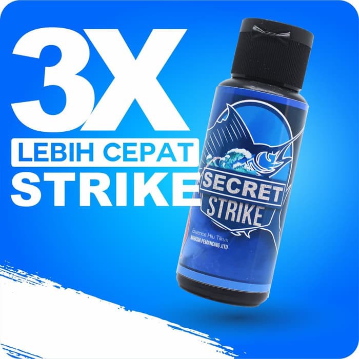 Secret Strike