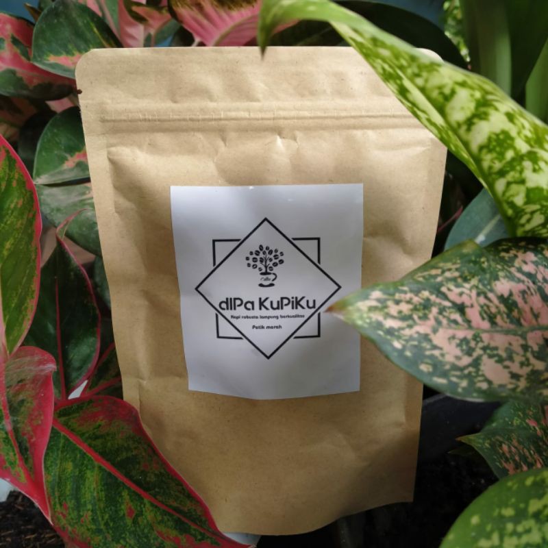 

kopi lampung petik merah