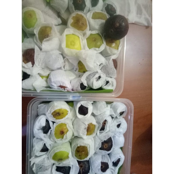 

1 kg buah tin buah surga buah ara buah kesehatan fresh from the kebon Indonesia. langsung ambil dari kebun. buah surga langka.