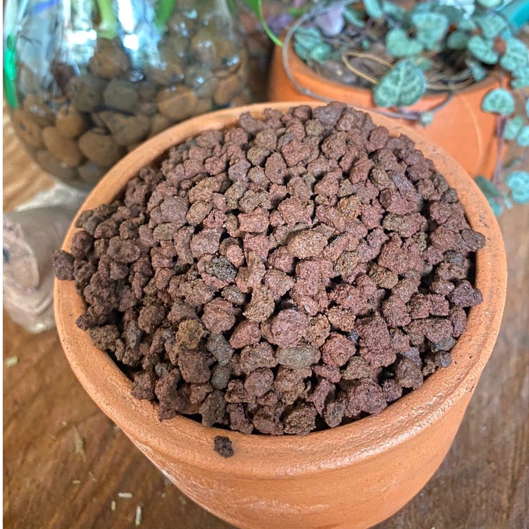 Lava Rock / Pasir Malang Merah / Pasir Malang