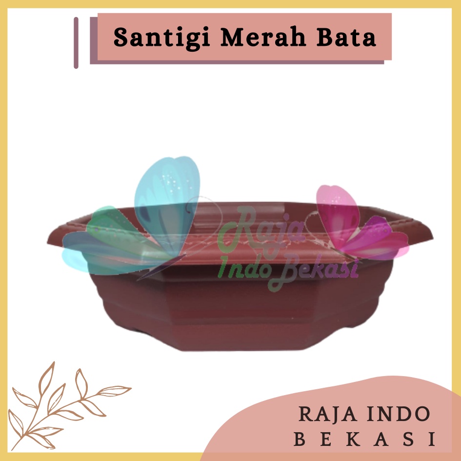 Pot Bonsai Santigi 30 Hijau Merah Bata Coklat By Garden Of Love Pot Bonsai Kotak Ceper Kelapa