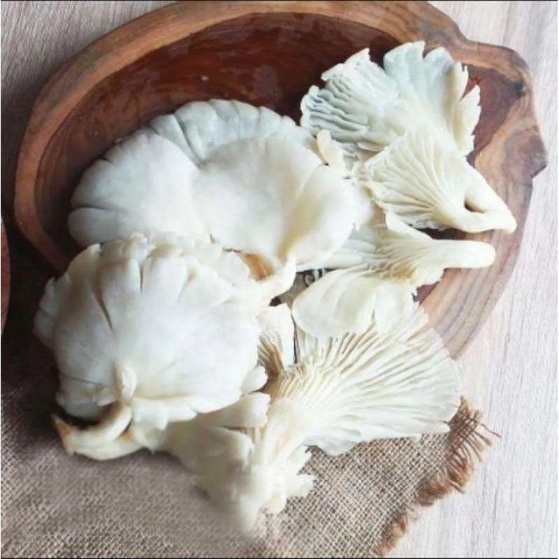 

JAMUR TIRAM 2 BUNGKUS / SAYUR ONLINE