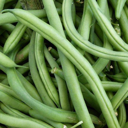 Purie Garden Bibit Benih 2 Ribuan Sayuran dan Buah Sawi Bayam Kangkung Dll-Buncis 10Benih