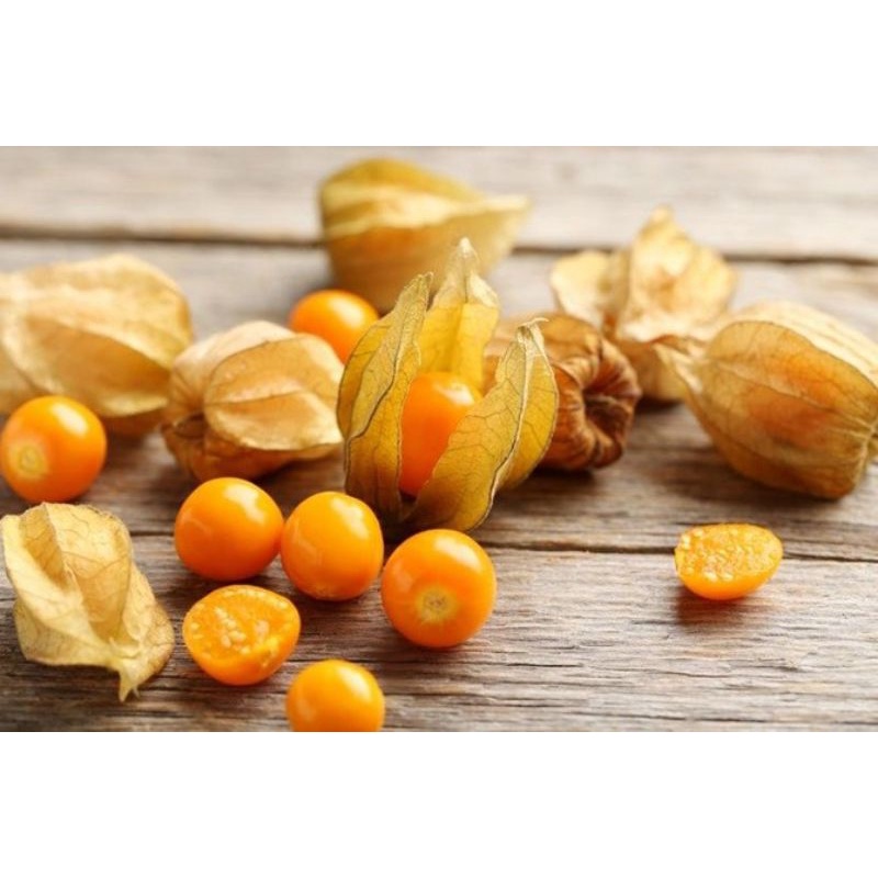 

buah cimplukan masak 100gr
