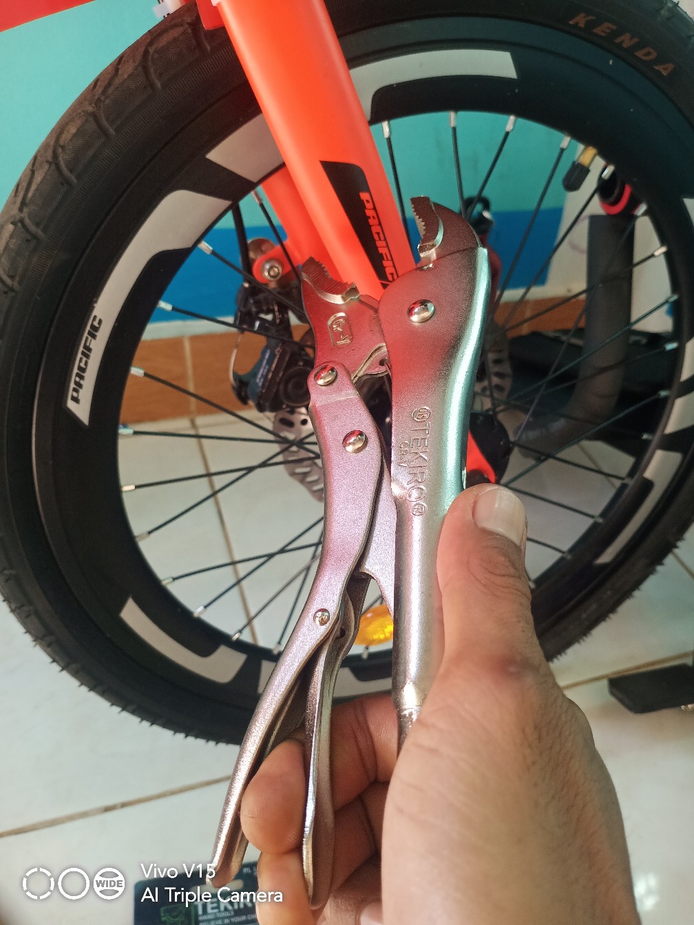 Tang Buaya Tekiro Lurus / Bengkok 10 Inch