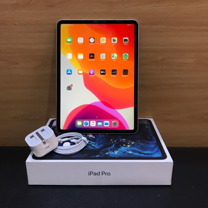 Promo MURAH BERKUALITAS Second iPad Pro 11 inch Gen1 2018 Wifi Only