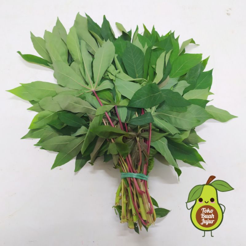 

DAUN SINGKONG FRESH