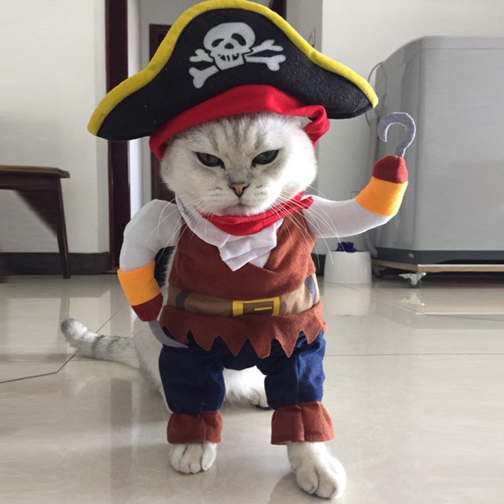 Kostum Kucing Lucu Anjing Hewan Pirate Bajak Laut Baju Unik Shopee Indonesia