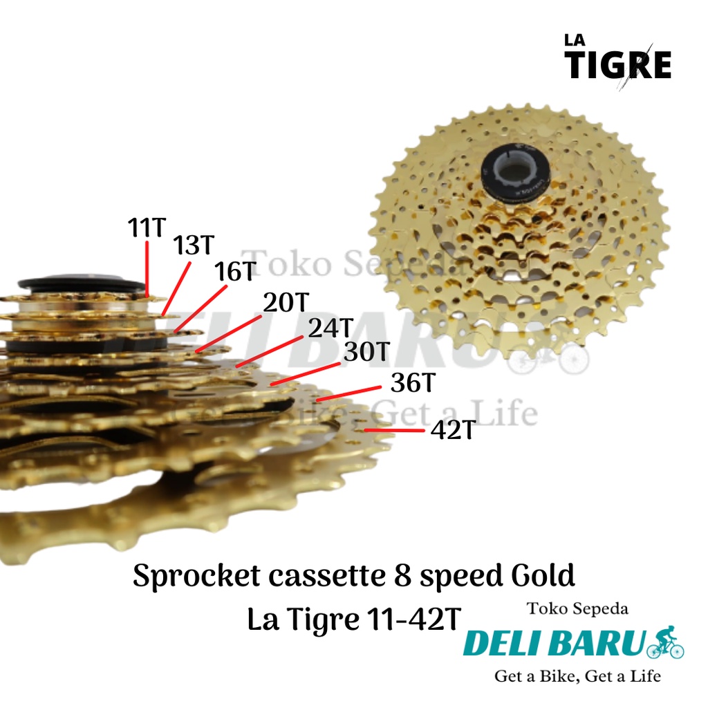 La tigre Sprocket cassette 8 speed gold model slop 11-42T sepeda MTB federal lipat