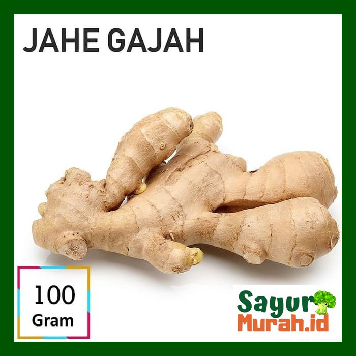 

JAHE GAJAH [100g]