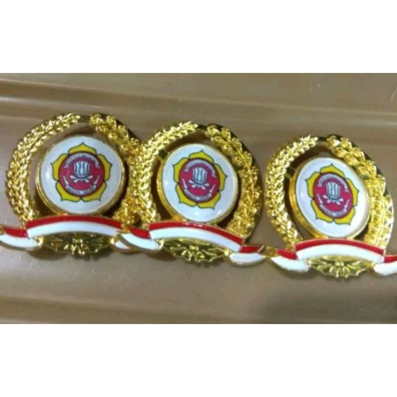 pin karang taruna