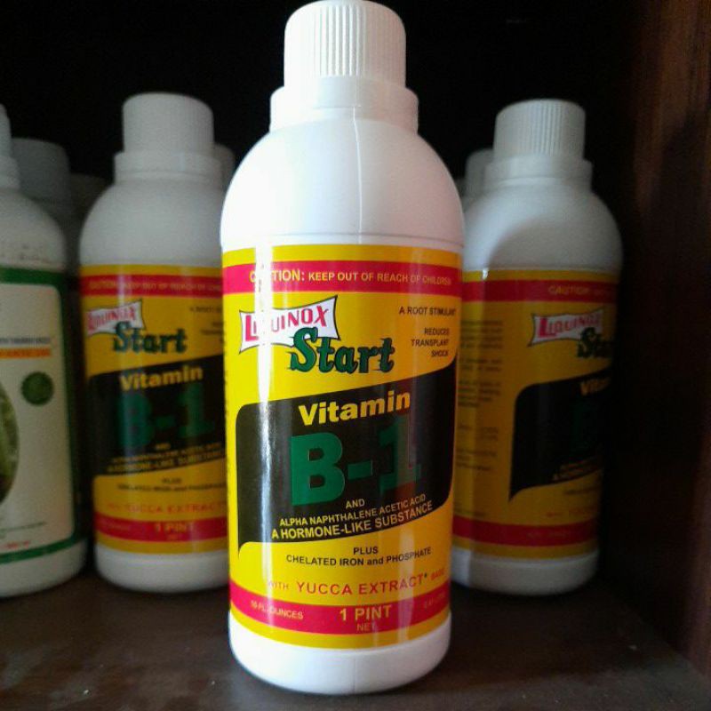 Pupuk Tanaman - VITAMIN B1 LIQUINOX 470ML