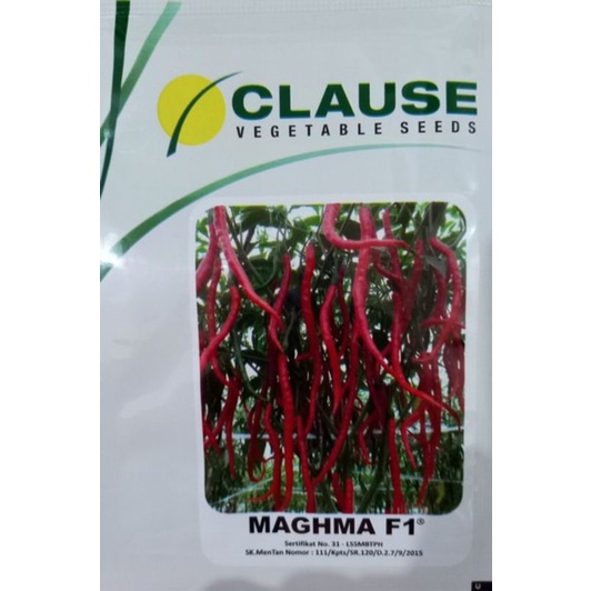 Benih cabe kriting MAGHMA F1/10 gram_CLAUSE