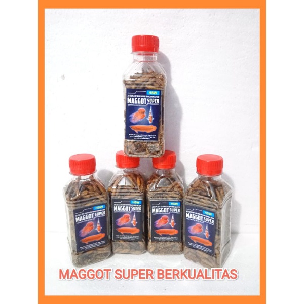 Maggot Super Super Maggot 100gr