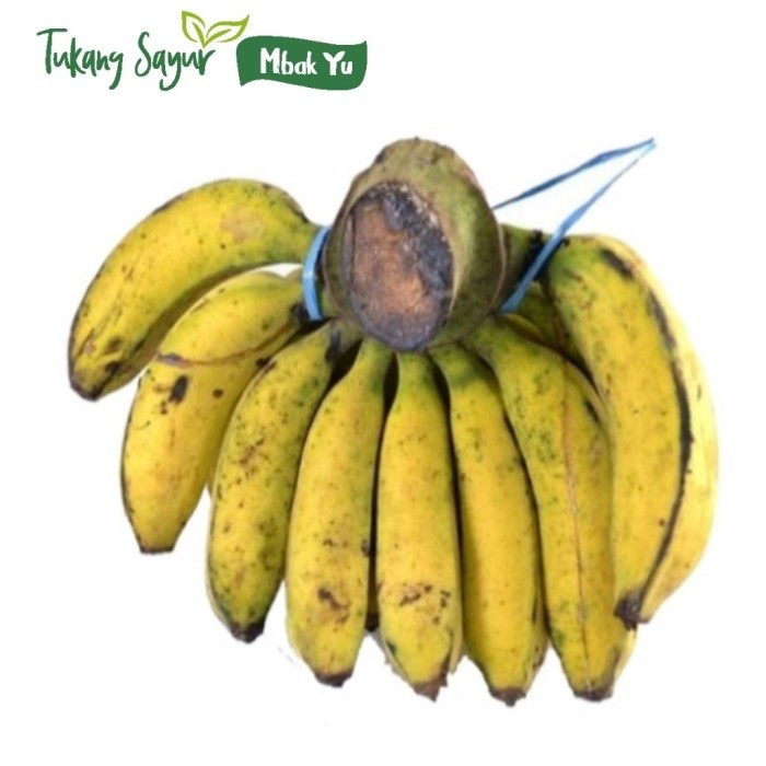 

Pisang raja segar 1 sisir