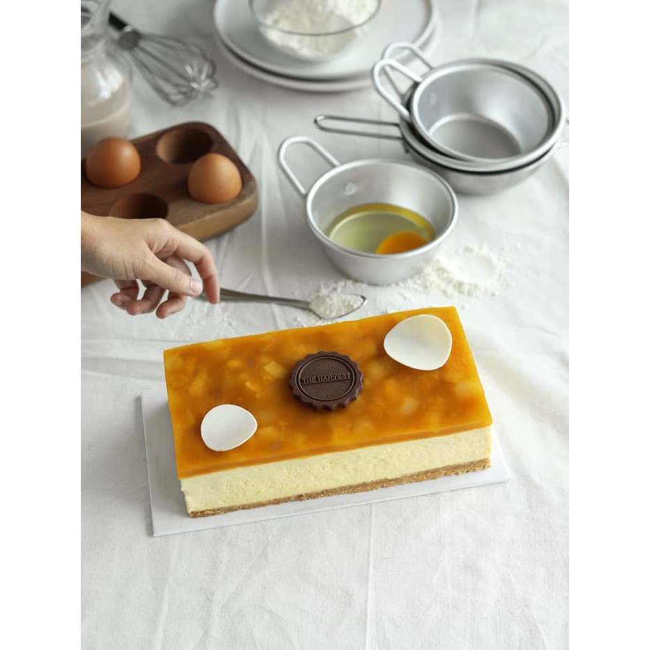 The Harvest Mango Cheese Cake 10x20