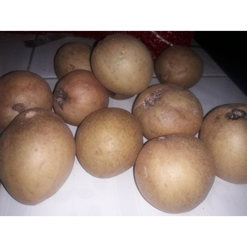 

SAWO MADU ASLI CIANJUR