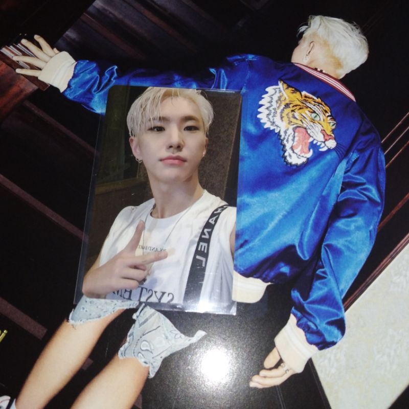 The Thirteen Tapes TTT Hoshi