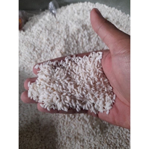 

BERAS KETAN PUTIH KONSUMSI PREMIUM SUPER UNGGUL 500g