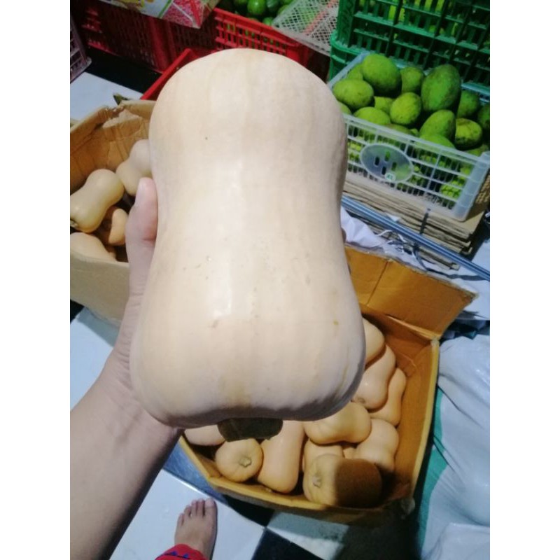 

Butternut