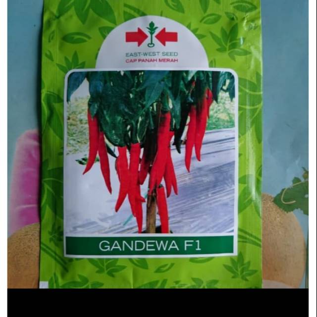 Benih Cabe Merah Besar GANDEWA