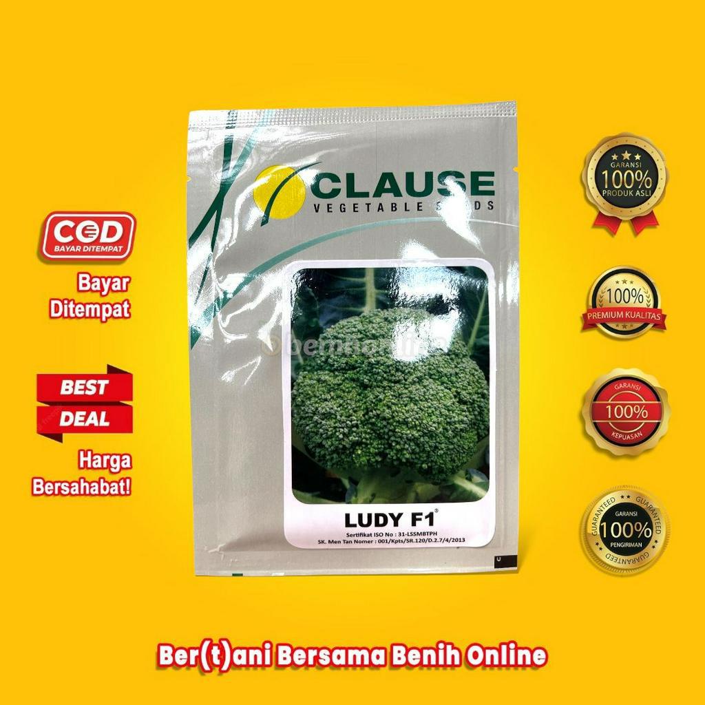BENIH BROKOLI - LUDY F1 - 10 gram - Benih Sayuran - Clause