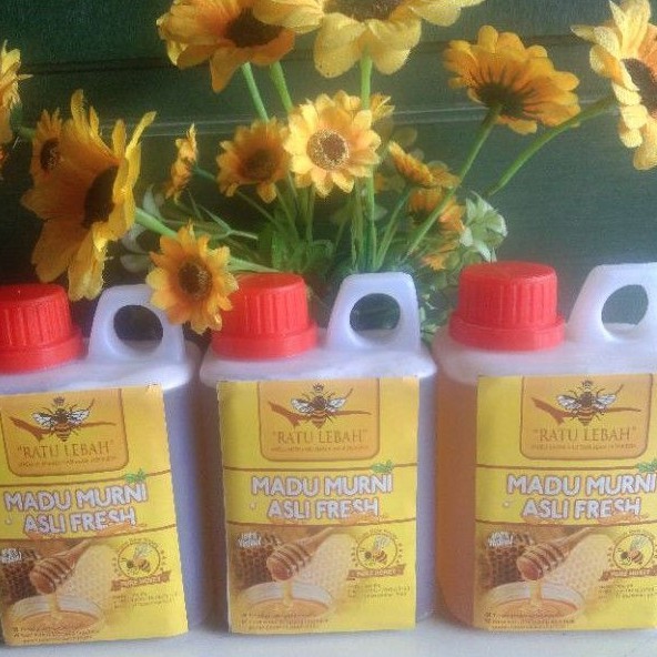 

Madu Murni Asli fresh 500ml Raw Honey Apis Melifera ( Madu Ternak)