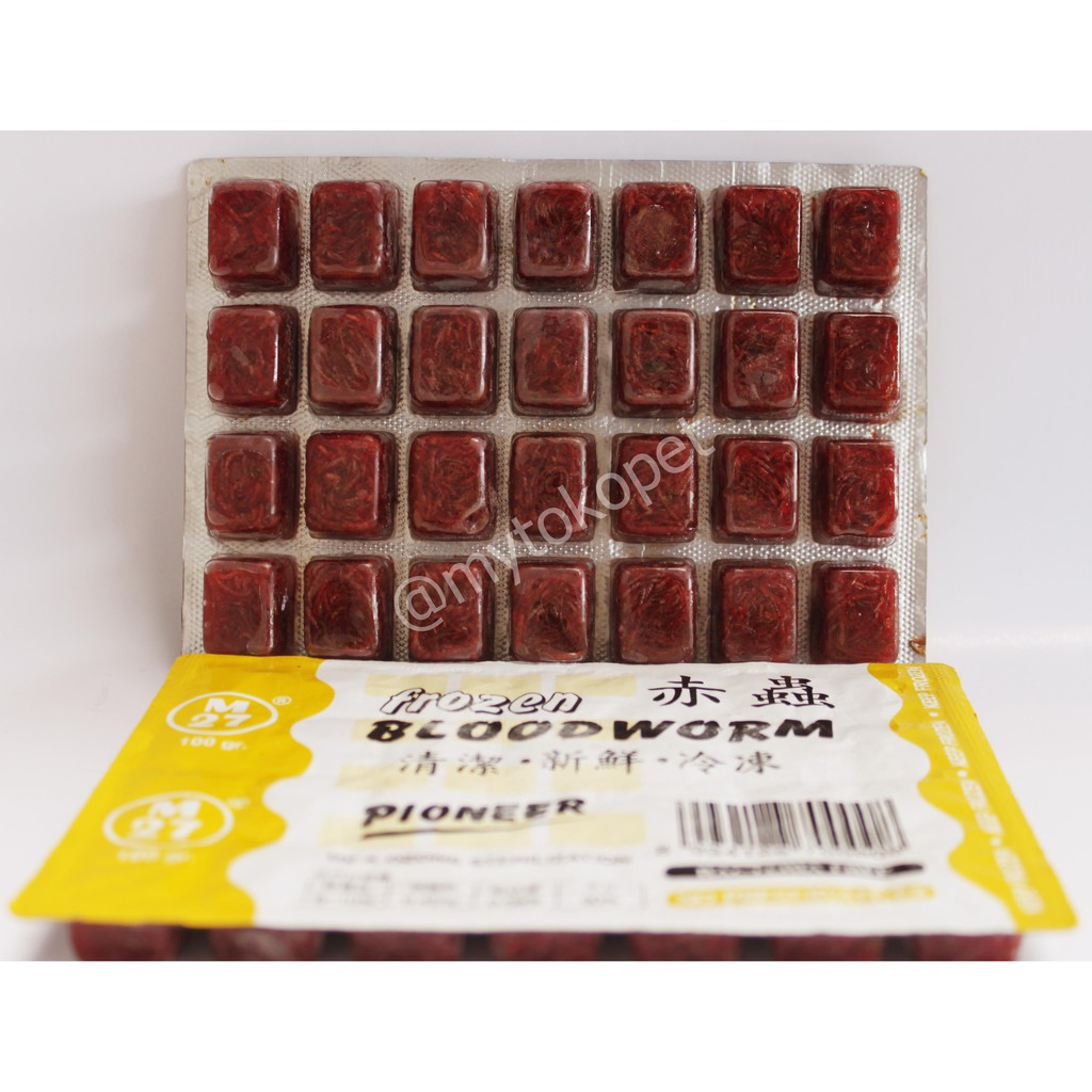 Cacing Beku Pioneer - Frozen Bloodworm 100GR