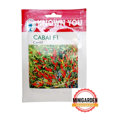 CABAI CENTIL 100 BIJI PACK KECIL benih cabai rawit cabe f1 unggul KNOWN YOU SEED  benih sayur bibit tanaman sayuran hidroponik