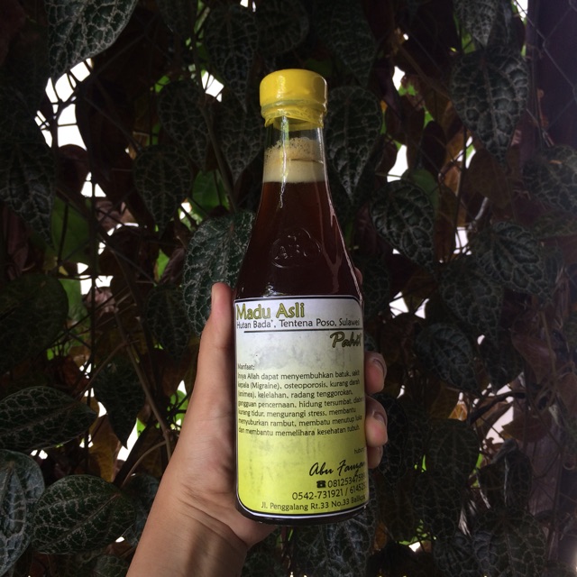 

Madu Pahit Asli Hutan Tentena, Sulawesi