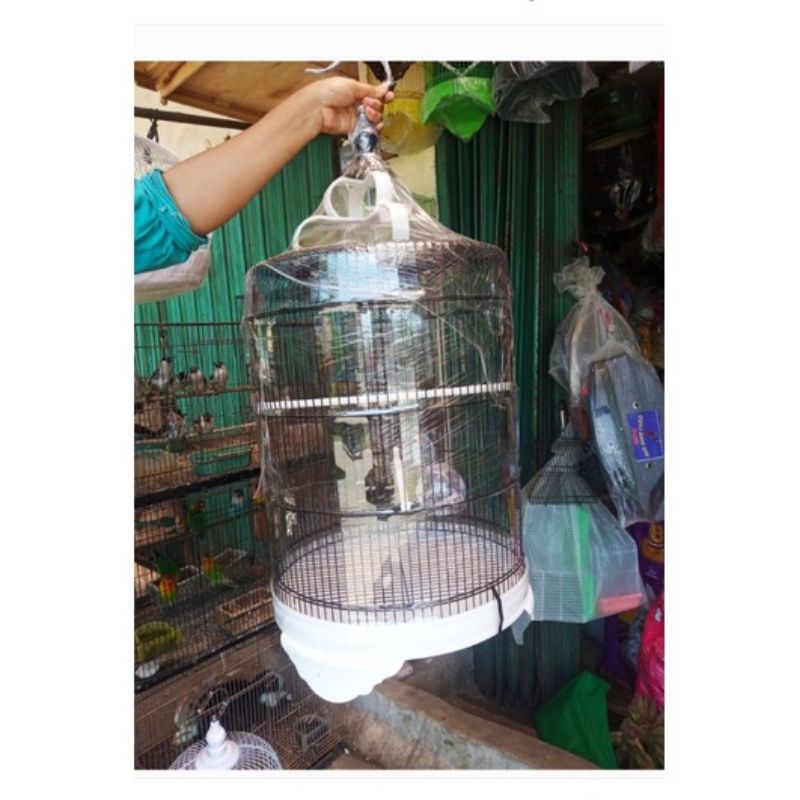 Kandang Burung // sangkar burung besi Fullshet // kandang burung jumbo
