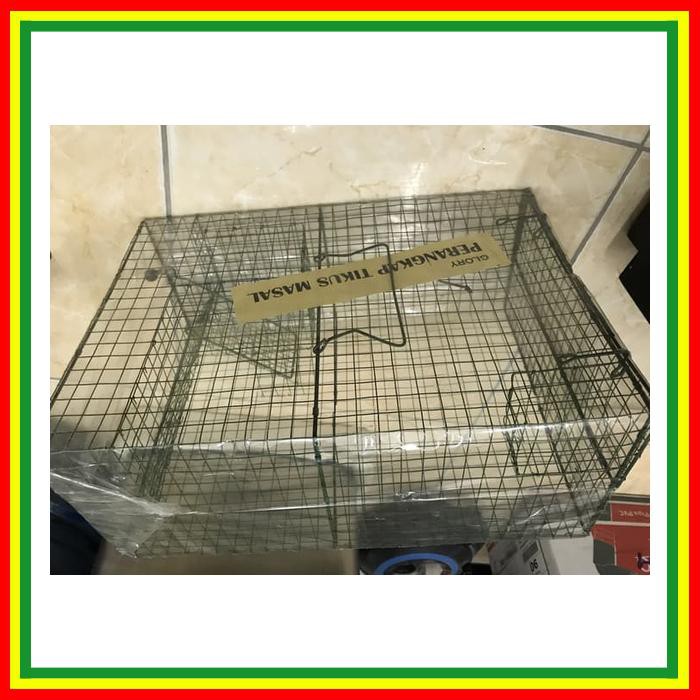 perangkap tikus massal