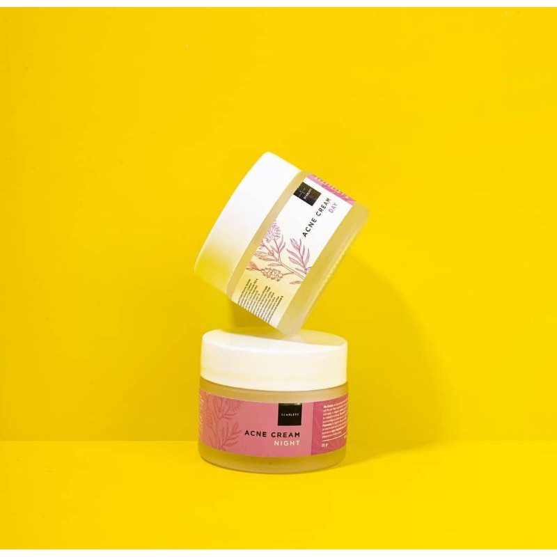 PAKET DAY AND NIGHT CREAM ACNE SCARLETT WHITENING