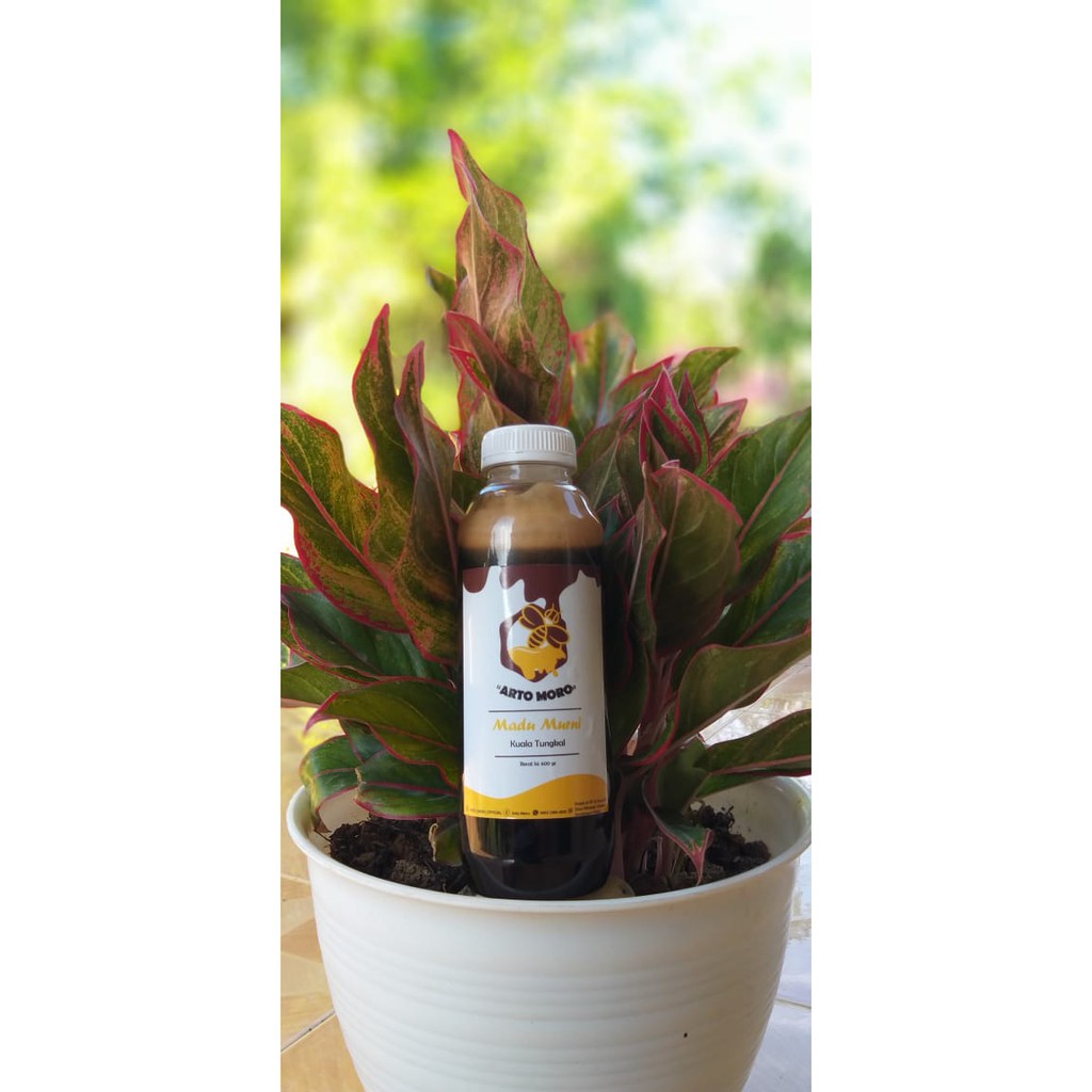 

MADU MURNI ARTO MORO