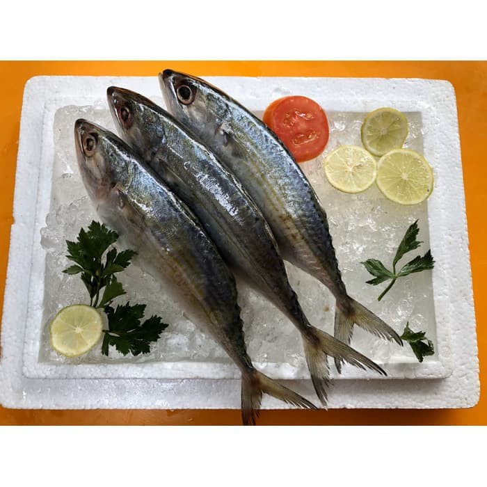 

IKAN KEMBUNG UTUH FROZEN 1KG