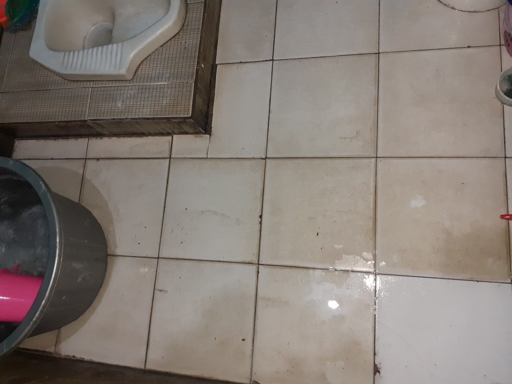 Agios 250ml Pembersih Toilet Kerak Keramik Porselen Kamar Mandi - Ampuh Bersihkan Noda Dan Kerak