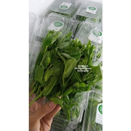 

Tomiau Organik Simalem 150g Sayur Segar Sehat Fresh Panen NonPestisida