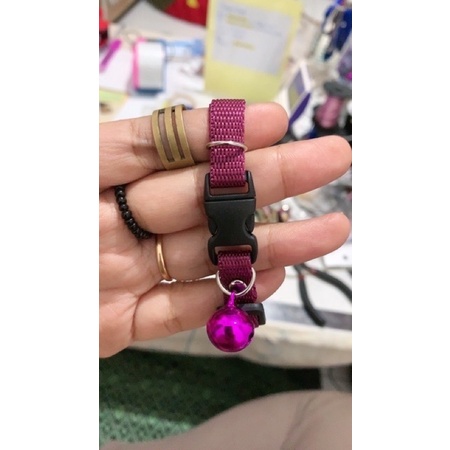 Kalung POLOS Kucing Anjing kecil warna warni lonceng