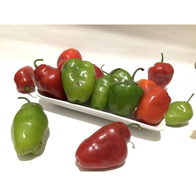 

cabe dieng cabai gendot bendot 1kg habanero (baca deskripsi sblm CO)